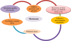 Exploring the Benefits of Melatonin and Other Sleep Aids