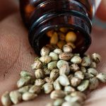 Cannabis Seeds UK